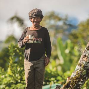 An Untraditional Vehicle